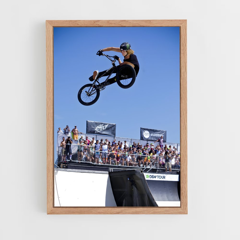 Poster Trickster BMX (vue 4)